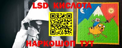 Альфа ПВП Ставрополь