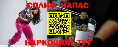 Альфа ПВП Ставрополь